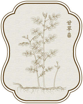 線描甘草