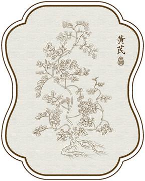 線描黃芪