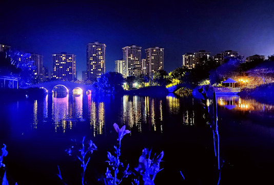 清水湾中央公园夜景