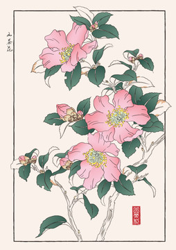 山茶花