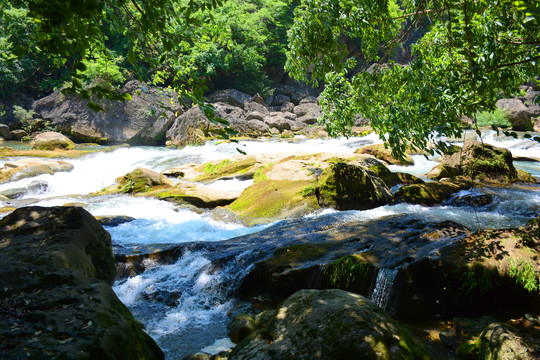 青山绿水