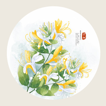 手繪金銀花二十四節(jié)氣之芒種