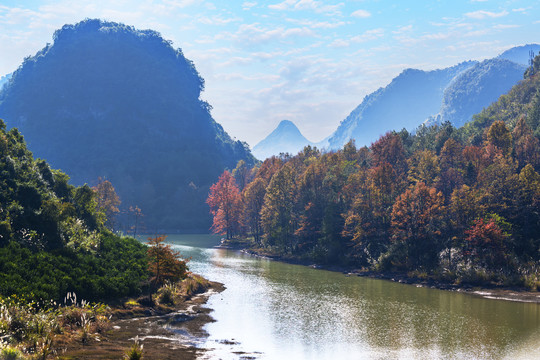 山水枫林秋景