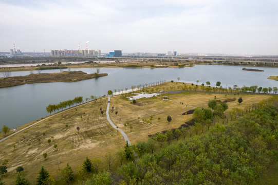 渭河湿地