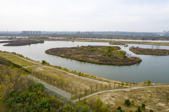 渭河湿地