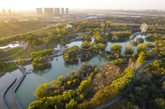 灞渭湿地