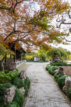 扬州瘦西湖风景区的徐园桃花坞