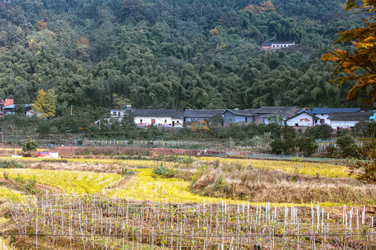 山村农家