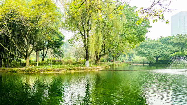 望江公园