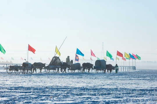 冬季雪原勒勒车