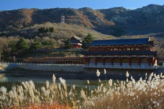 萊州大基山森林公園