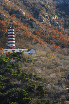 萊州大基山風光