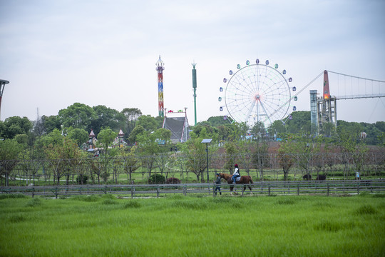 武汉花博汇