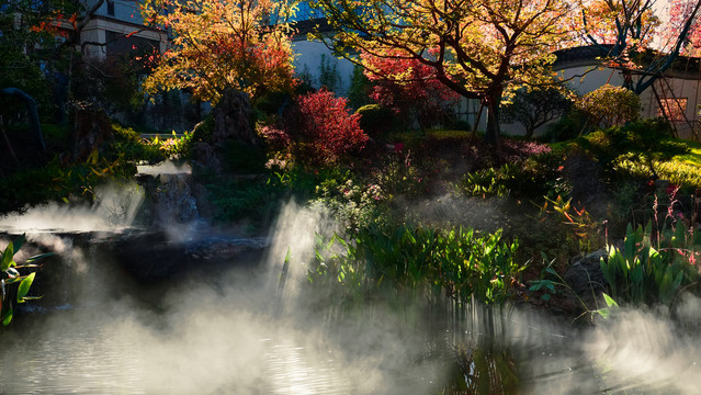 茶室茶馆