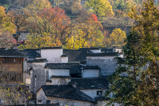 黟县塔川