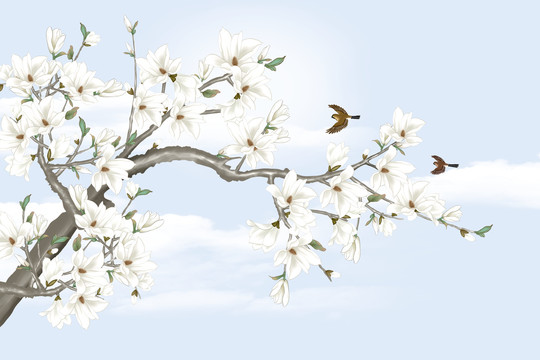 中式手绘玉兰花开富贵背景装饰画