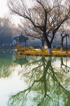 范公亭公园冬天风景