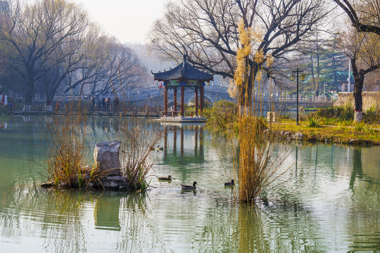 范公亭公园冬天风景