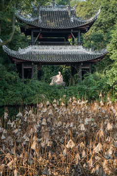 三苏祠披风榭残荷