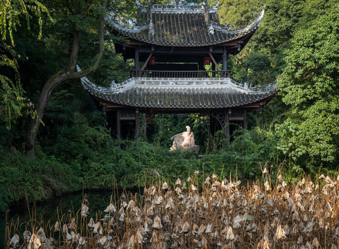 三苏祠披风榭残荷