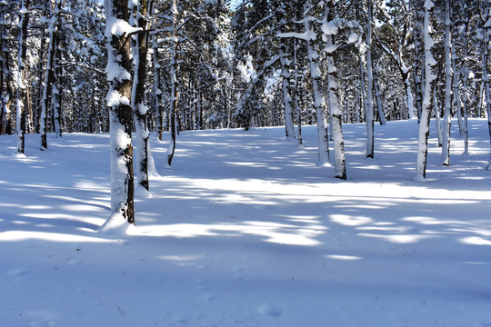 大雪背景