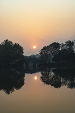 清晨湖水阳光野鸭
