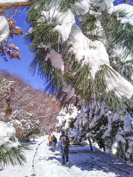 雪地徒步