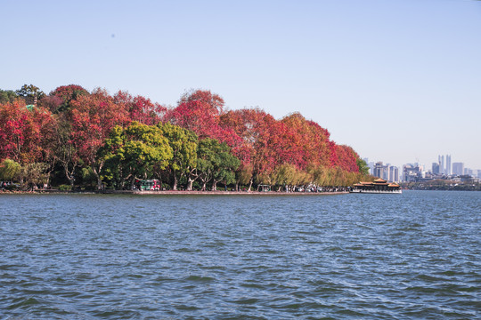 西湖秋景