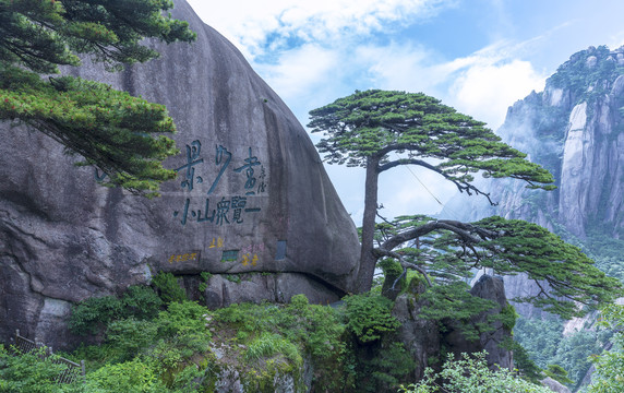 黄山迎客松