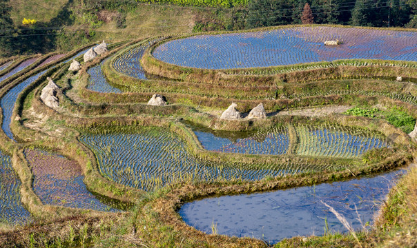 冬季梯田