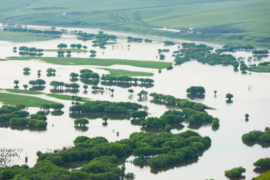 水淹根河湿地