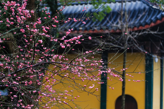 杭州灵隐寺