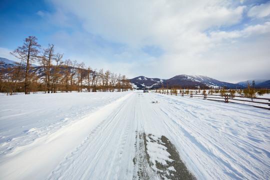 新疆雪景