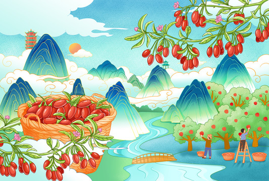枸杞插畫