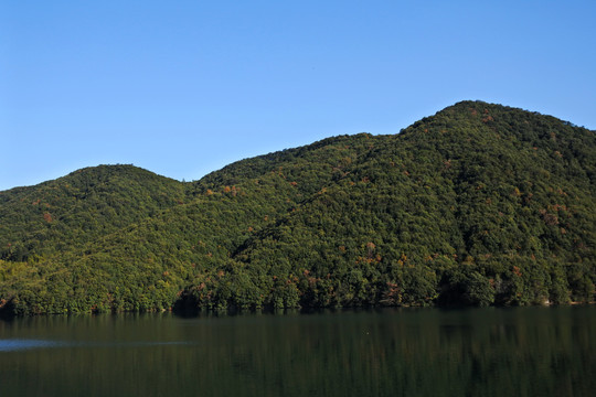 湖中青山
