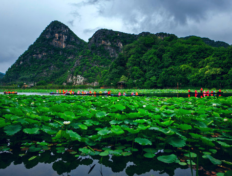 普者黑湿地