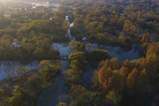 航拍杭州西溪湿地公园秋景