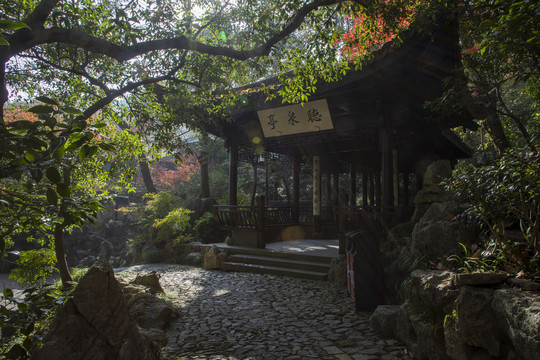 杭州西湖龙井景区