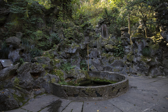 杭州西湖龙井景区