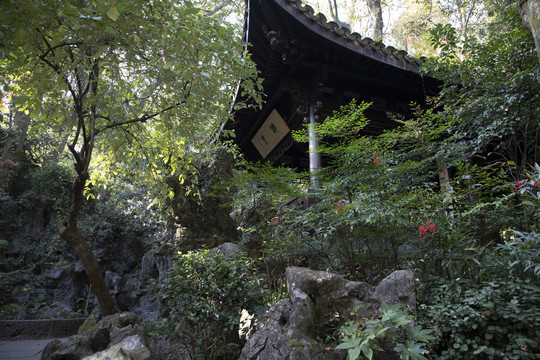 杭州西湖龙井景区