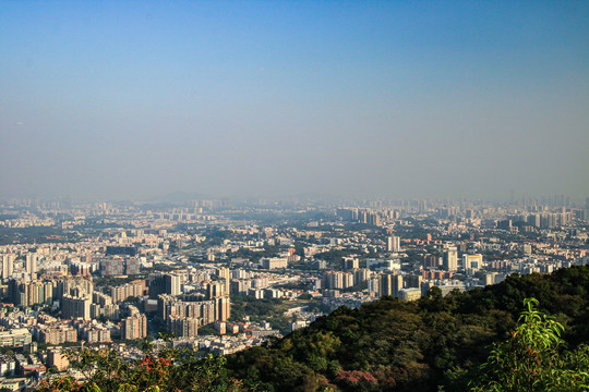 繁华城市