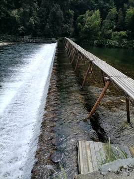 溪流木头桥