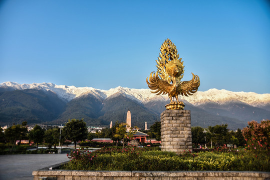 大鹏金翅苍山雪