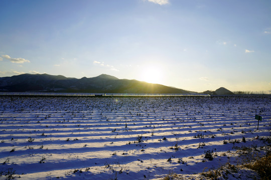 厚雪覆盖下的田地和大棚