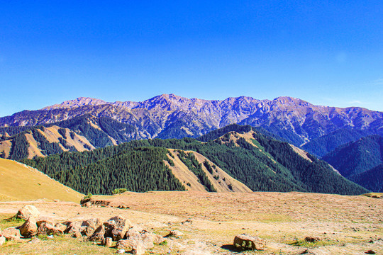 新疆天山