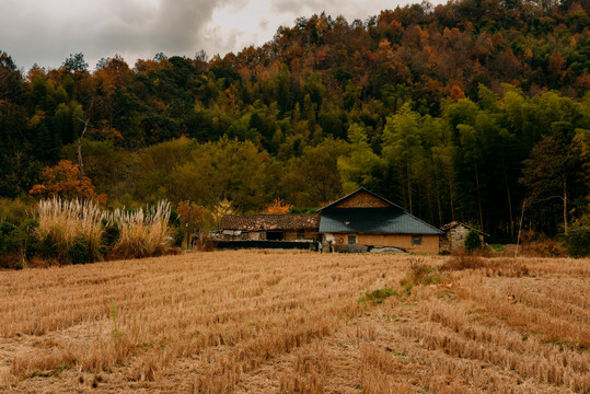 山脚下的小屋