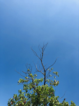 天空素材