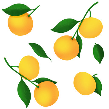 橘子无缝贴图