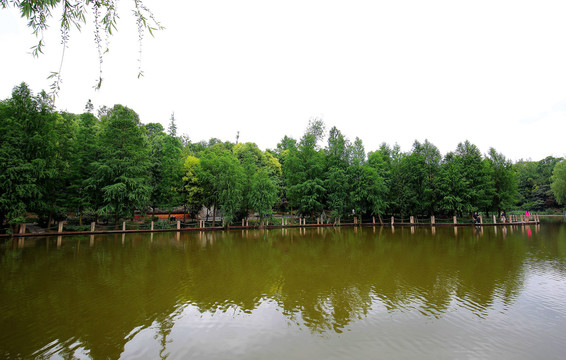 重庆壁山秀湖湿地