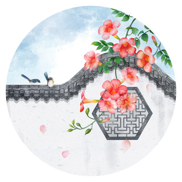 凌霄花插畫